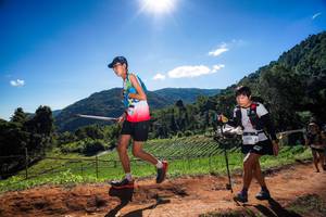 BIB: 2121
                            <button type="button" onclick="openModal(19189159)" class="btn btn-primary btn-sm float-right btn-popup" data-toggle="modal" data-target=".modal-high-quality">
                        <i class="fas fa-shopping-cart"></i> Add to Cart
                    </button>
                                            <button type="button" onclick="isThisMe(19189159, true)" class="btn btn-success btn-sm float-right btn-popup btn-isme hidden" data-toggle="tooltip" data-placement="bottom" title="นี่คือรูปของคุณใช่ไหม คลิกที่นี่เพื่อเอาเข้าอัลบั้ม">
                        <i class="fas fa-plus"></i> Add to album
                    </button>
                    <button type="button" onclick="isThisMe(19189159, false)" class="btn btn-warning btn-sm float-right btn-popup btn-isnotme hidden">
                        <i class="fas fa-ban"></i> Remove from album
                    </button>